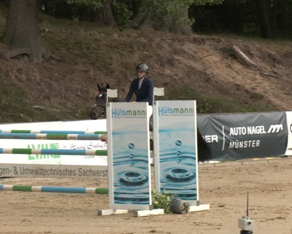 Reitturnier Albersloh 2025