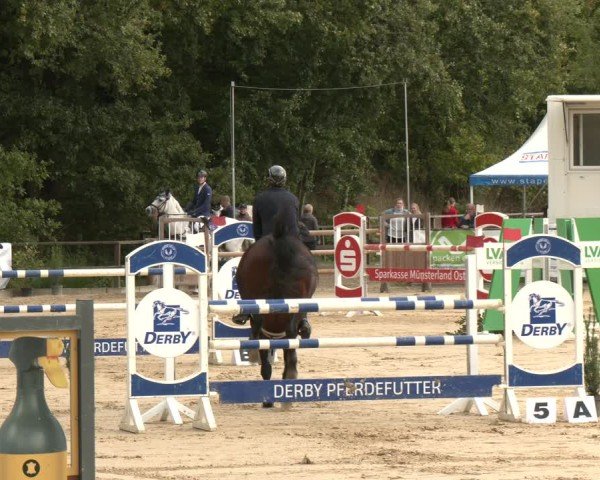 Reitturnier Albersloh 2025