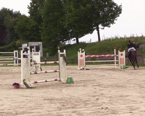 Reitturnier Breiholz / Schülp 2025