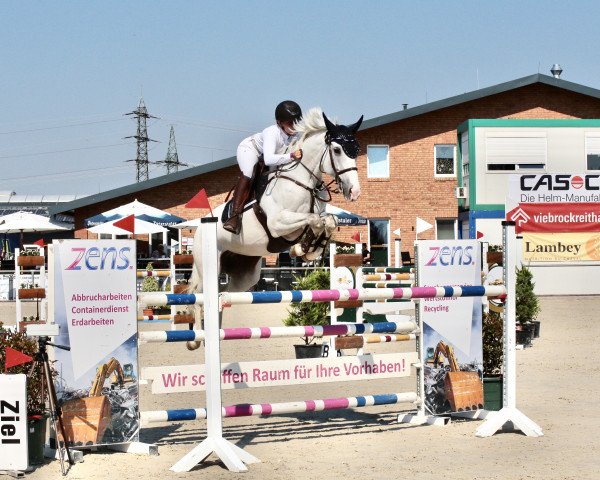 Springpferd Awony (Deutsches Sportpferd, 2010, von Kaiserwind)