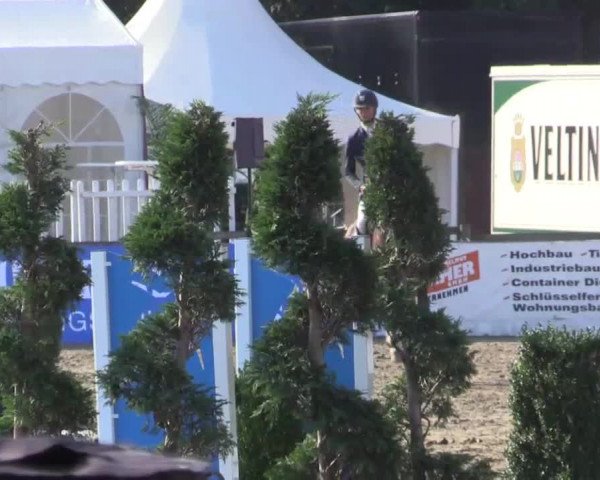 61. Lobbericher Reitsportfestival CSN
