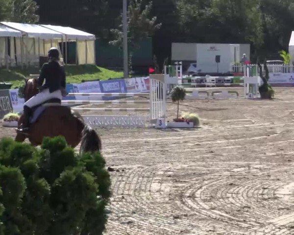 61. Lobbericher Reitsportfestival CSN