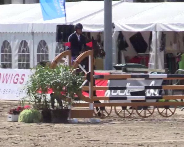 61. Lobbericher Reitsportfestival CSN