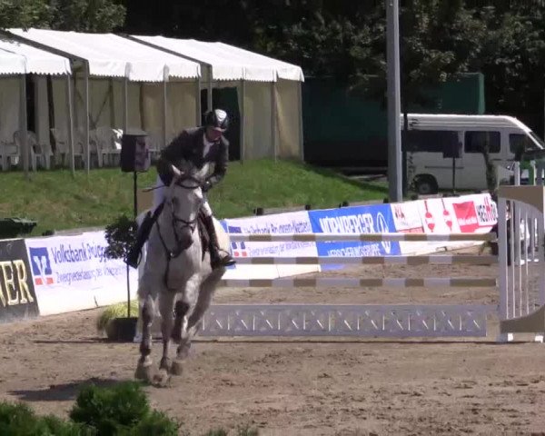 61. Lobbericher Reitsportfestival CSN