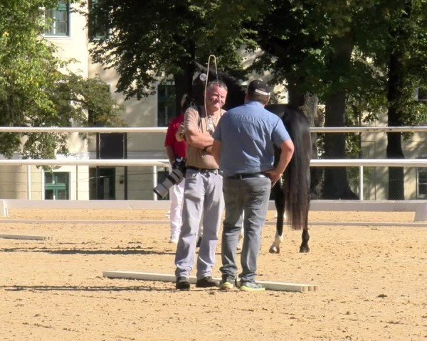 Zuchtbewerbe AWÖ Bundeschampionat 2025