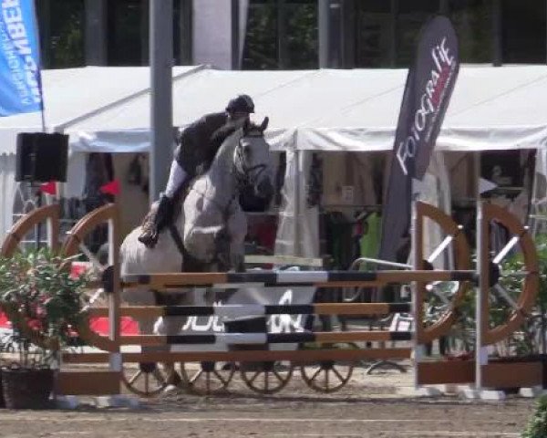 61. Lobbericher Reitsportfestival CSN