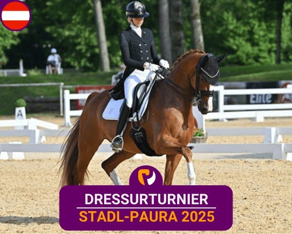 Reitturnier Stadl-Paura 2025