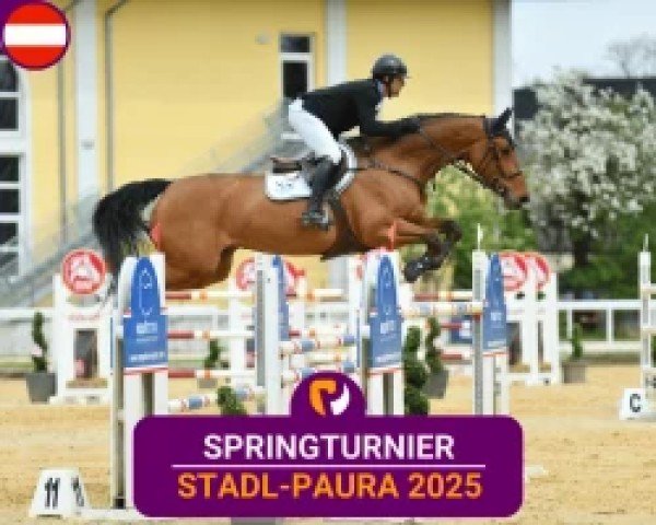 Reitturnier Stadl-Paura 2025