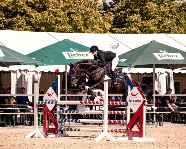 Jumper Parama (Westphalian, 2008, from Paramo K)