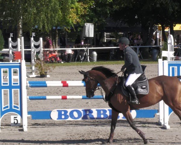 Reitturnier Richelsdorf 2025