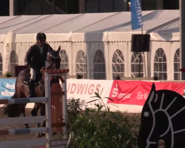 61. Lobbericher Reitsportfestival CSN