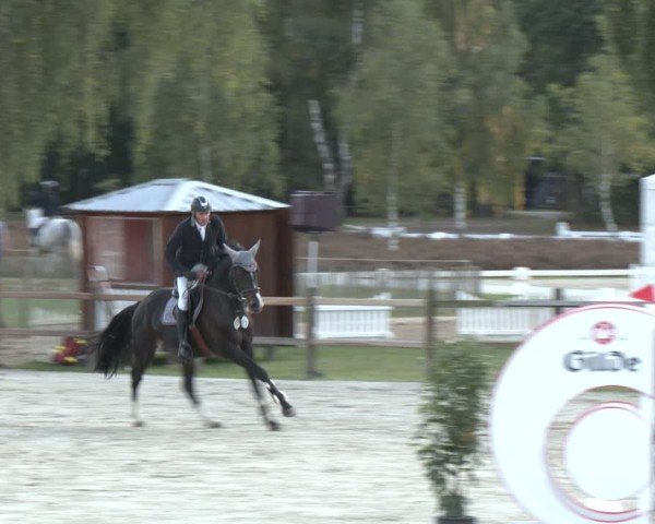 Reitturnier Westergellersen 2025