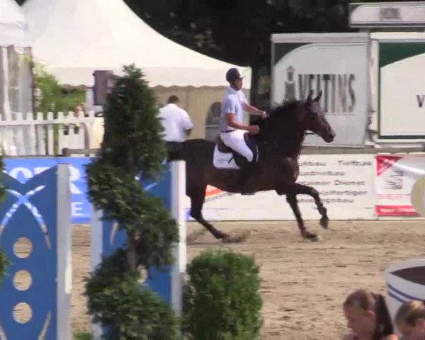 61. Lobbericher Reitsportfestival CSN
