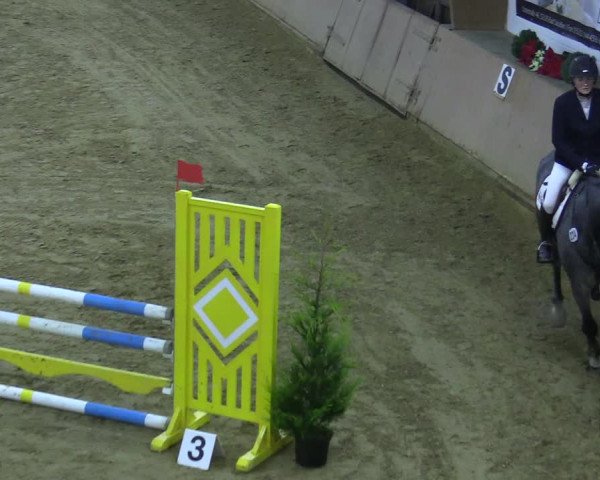 Reitturnier Bad Salzuflen 2021