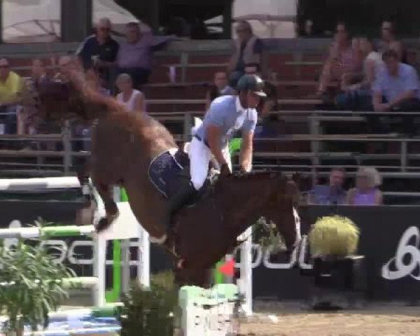 61. Lobbericher Reitsportfestival CSN