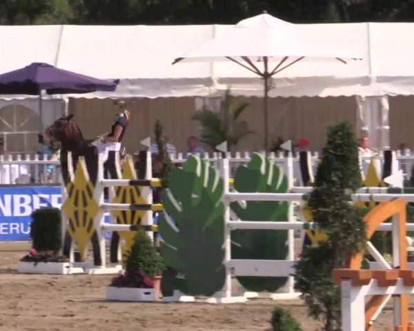 61. Lobbericher Reitsportfestival CSN
