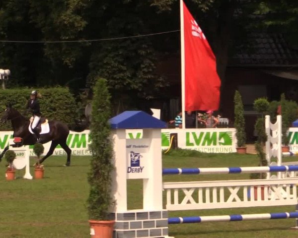 Reitturnier Münster-Handorf 2014