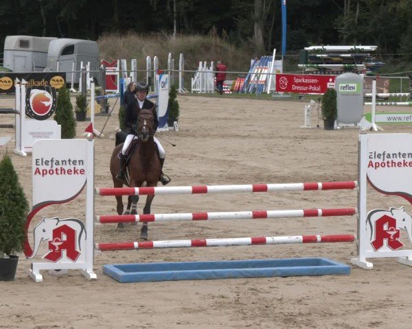 Reitturnier Oelde 2025