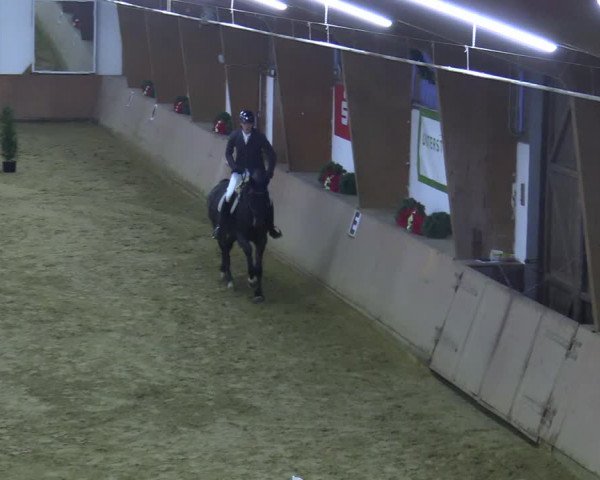 Reitturnier Bad Salzuflen 2021