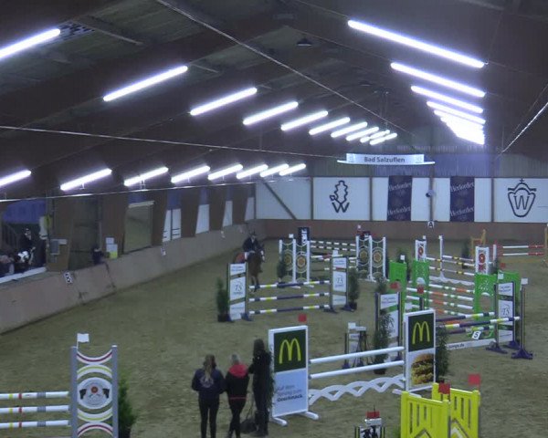 Reitturnier Bad Salzuflen 2021