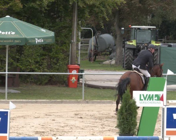 Reitturnier Oelde 2025