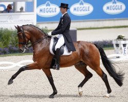 dressage horse Cosmo 59 (KWPN (Royal Dutch Sporthorse), 2007, from van Gogh)