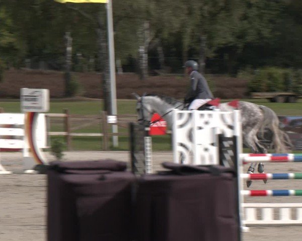 Reitturnier Westergellersen 2025