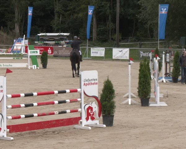 Reitturnier Oelde 2025