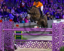 jumper Dienellie (KWPN (Royal Dutch Sporthorse), 2008, from Berlin)