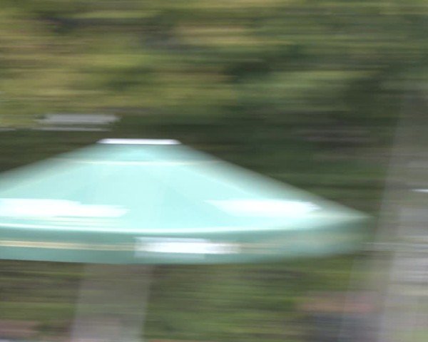 Reitturnier Oelde 2025