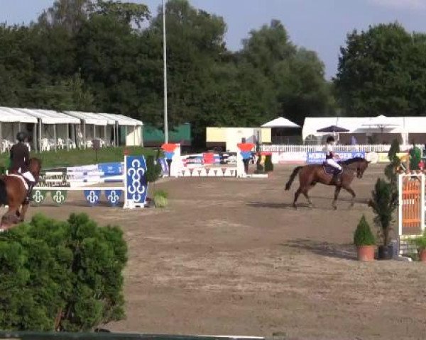 61. Lobbericher Reitsportfestival CSN