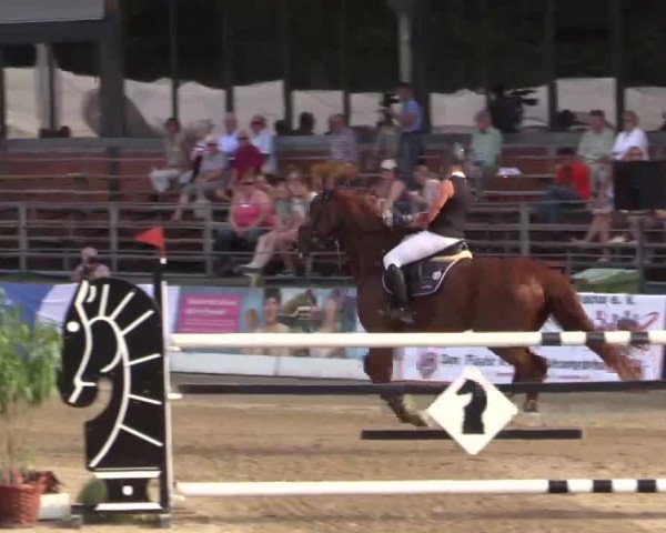 61. Lobbericher Reitsportfestival CSN