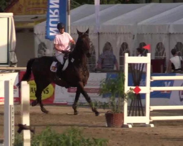 61. Lobbericher Reitsportfestival CSN