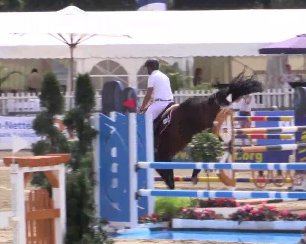 61. Lobbericher Reitsportfestival CSN