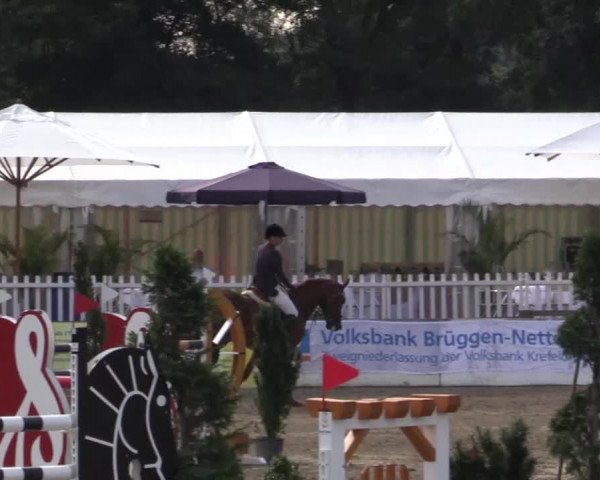 61. Lobbericher Reitsportfestival CSN