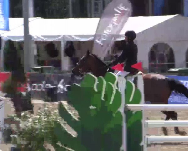 61. Lobbericher Reitsportfestival CSN