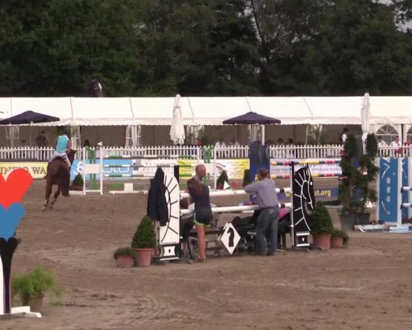 61. Lobbericher Reitsportfestival CSN