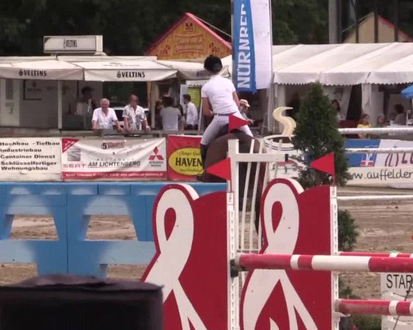 61. Lobbericher Reitsportfestival CSN