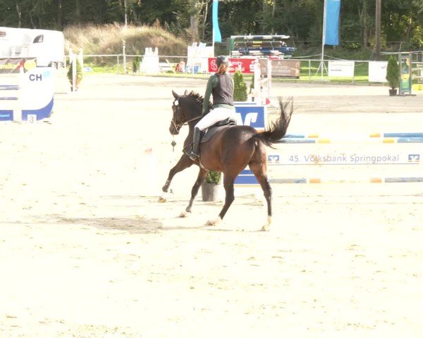 Reitturnier Oelde 2025