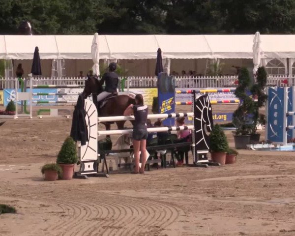 61. Lobbericher Reitsportfestival CSN