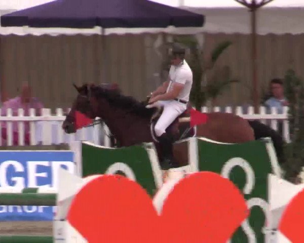 61. Lobbericher Reitsportfestival CSN