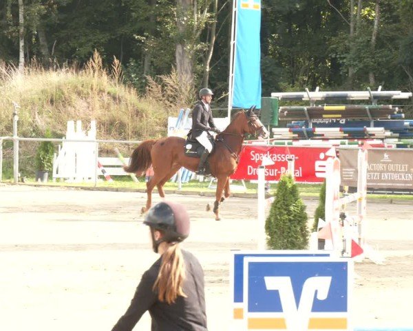 Reitturnier Oelde 2025