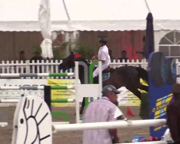61. Lobbericher Reitsportfestival CSN