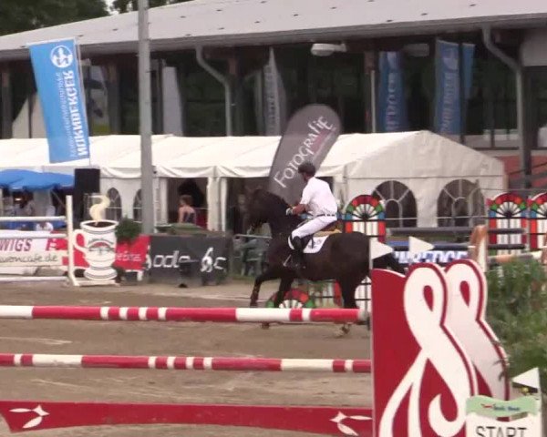 61. Lobbericher Reitsportfestival CSN