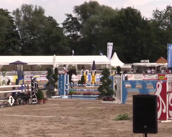 61. Lobbericher Reitsportfestival CSN