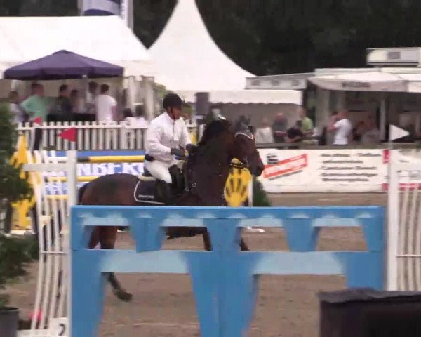 61. Lobbericher Reitsportfestival CSN