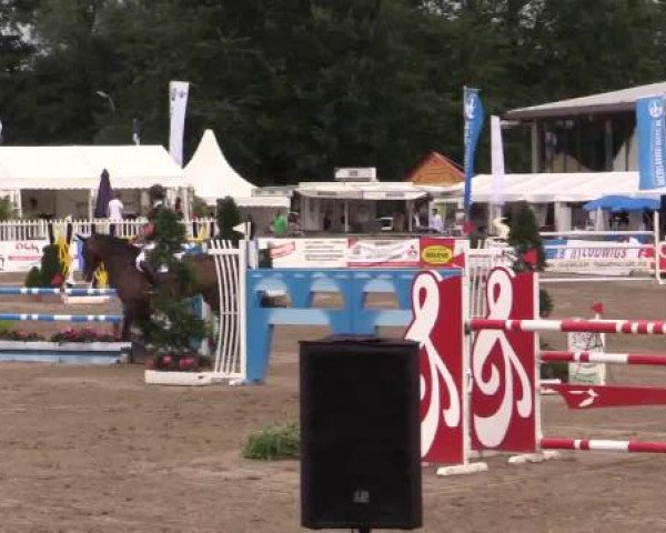 61. Lobbericher Reitsportfestival CSN