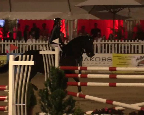 61. Lobbericher Reitsportfestival CSN