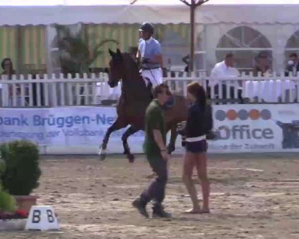 61. Lobbericher Reitsportfestival CSN