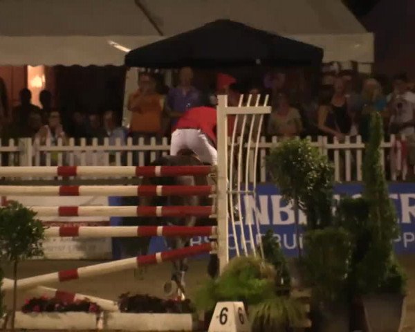 61. Lobbericher Reitsportfestival CSN
